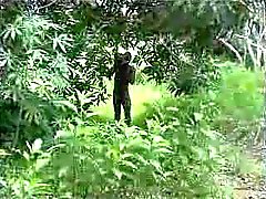 real african amateur fuck on the tree part 2