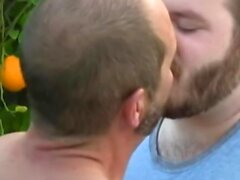 bareback gay ursos alegres blowjob homossexual 