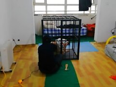 Chinese caged