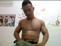 Chinese muscle, stud, recent